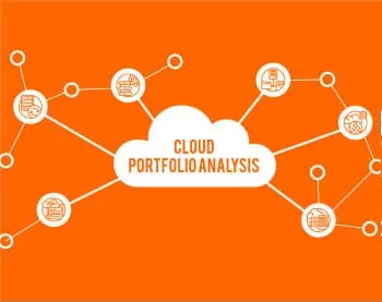 portfolio analysis